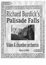 Palisade Falls for chamber orchestra